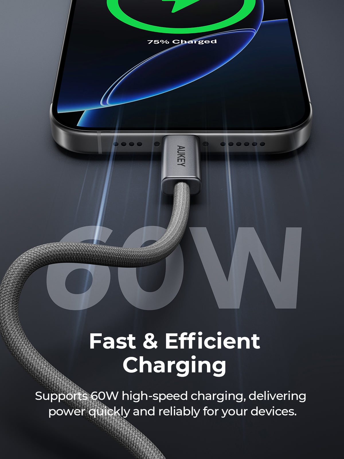 AUKEY CB-DCC061 Circlet Blink 60W USB2.0 C TO C 60W 1M